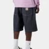 Brandon Short Brandon Short